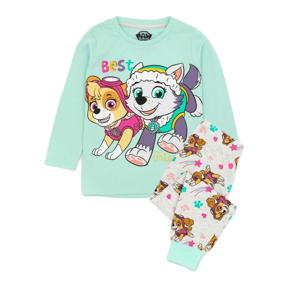 (5-6 Years, Teal/Grey) Paw Patrol Childrens/Kids Skye & Everest Long-Sleeved Pyjama Set