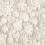 Fine Decor Dimensions Floral Wallpaper Natural Fine Decor FD43604 1