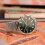 Tommy Hilfiger TOMMY HILFIGER 1710499 MEN'S WATCH SILVER STRAP GREEN DIAL SILVER CASE 8