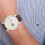Tommy Hilfiger TOMMY HILFIGER 1710501 MEN'S WATCH BROWN STRAP SILVER DIAL SILVER CASE 11