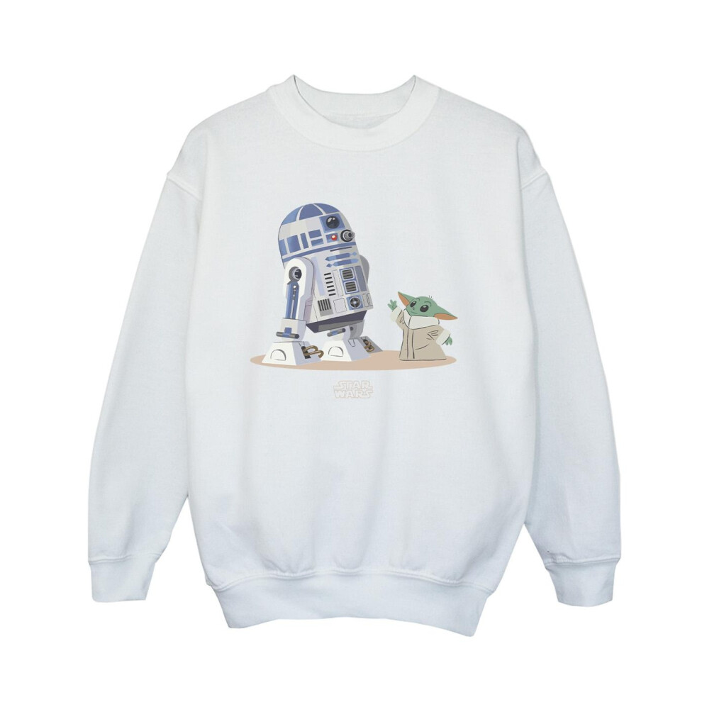 The Mandalorian R2D2 And Grogu Sweatshirt