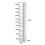 Living And Home Contemporary 10-Tier Household Space Saving Shoe Rack 6