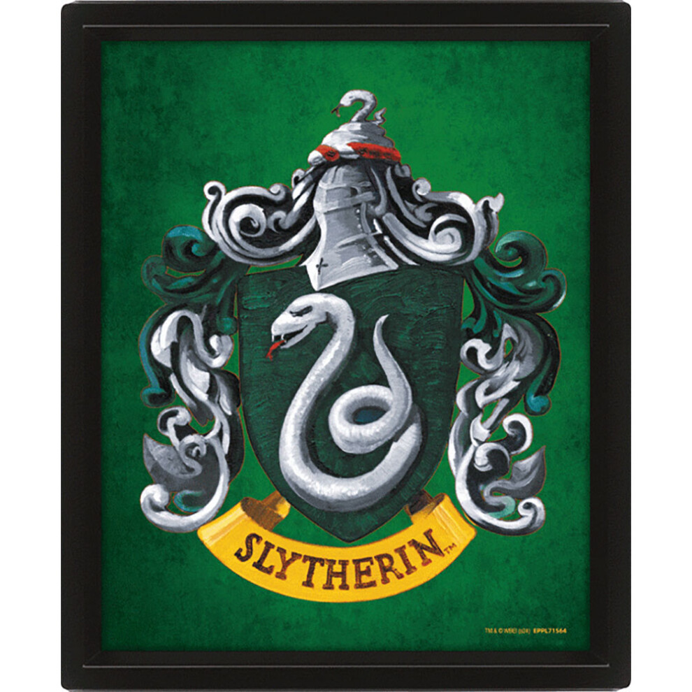 Harry Potter Slytherin 3D Framed Picture