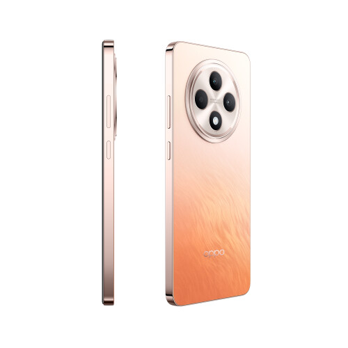 OPPO Oppo Reno 12 Fs 8+512Gb Ds 4G πορτοκαλί πορτοκαλί Oem 2