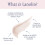 Lanolips 101 Ointment Multi-Balm Original Superbalm - Contains Pure Lanolin Oil for Smooth Hydrated & Healthy Lips - Natural Lip Balm for Dry L 8