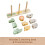 Fisher-Price Fisher-Price ?????? ?a????d? ??a ???? & ??p?a   e 10 ?????a ??    ?t?a ??a ??apt???a?? ?a????d?, ?????e? 1+ ?t?? 5
