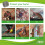 RatMesh Rodent Proofing Wire Metal Mesh - Blocks Rats & Mice (6m x 100mm Roll x 1 Pack) 2