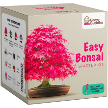 Grow Your own Bonsai kit – Easily Grow 4 Types of Bonsai Trees with Our Complete Beginner Friendly Bonsai Seeds Starter kit – Unique Seed kit Gift