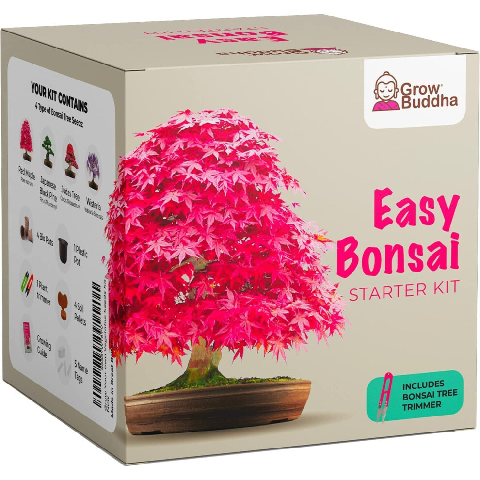 Grow Buddha Grow Your Own Bonsai Kit – Easily Grow 4 Types Of Bonsai Trees With Our Complete Beginner Friendly Bonsai Seeds Starter Kit – Unique Seed Kit Gift