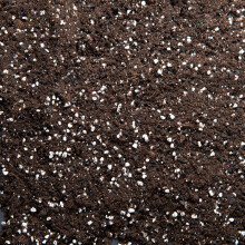 Premium Houseplant Potting Mix with activated Biochar, PEAT-FREE potting soil for indoor plants (5L)