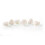 Smint Peppermint Powermints -12 x 8 g Dispenser 5
