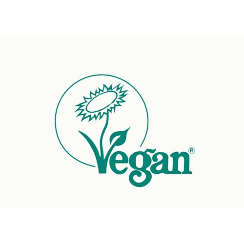 Organic Pea Protein Powder 500g 2