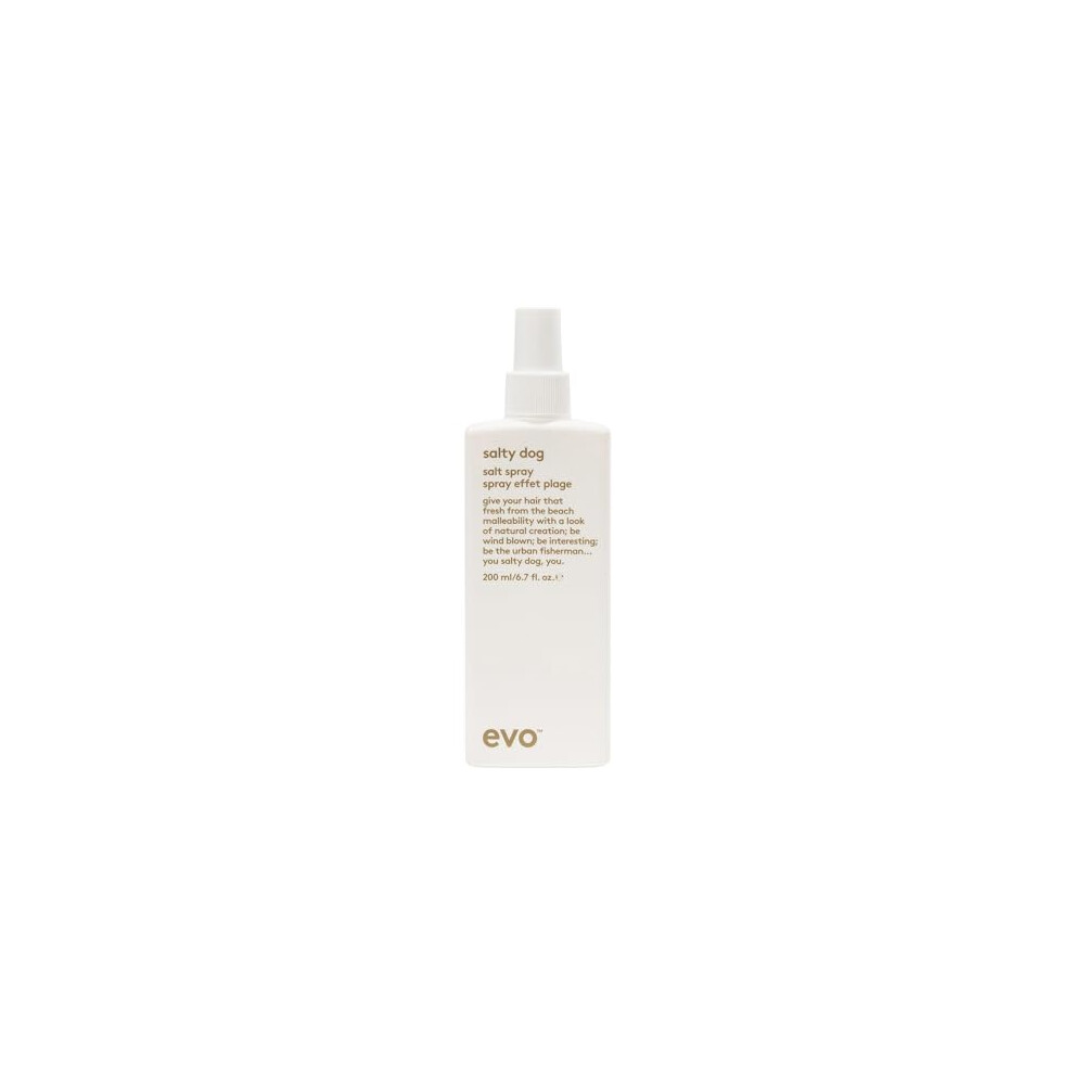 Salty Dog Salt Spray - Hair Texture & Volume Spray - Beach Textured Hair, Natural Matte Finish - Travel Size, 50ml / 1.7fl.oz