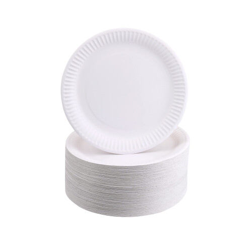 Plates 23cm White 250 pack 1