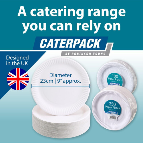 Plates 23cm White 250 pack 2