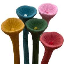 Bee Drinking Cups for Garden Multicolour [Pack of 5] Safe Drinking for Bee's and Insects