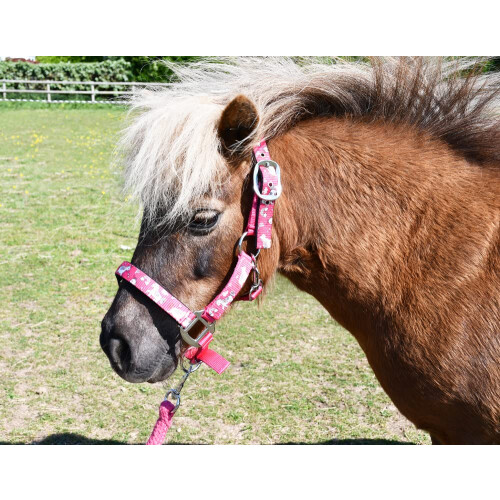 Unicorn Headcollar and Rope Set - Shetland - Rasp, Raspberry