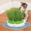 Catit Senses Grass Planter 2