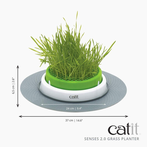 Catit Senses Grass Planter 2