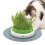 Catit Senses Grass Planter 1