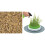 Catit Senses Grass Planter 7