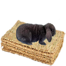 Natural Grass Woven Mat Small Animal Bedding Nest Guinea Pig Chew Toy For Parrot Rabbit Bunny Hamster Rat 6 PCS