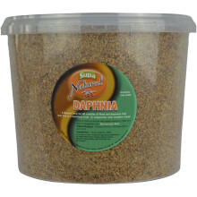 Natural Daphnia Fish Food 3 Litre Bucket | Suitable For Pond & Aquarium Fish | High In Protein
