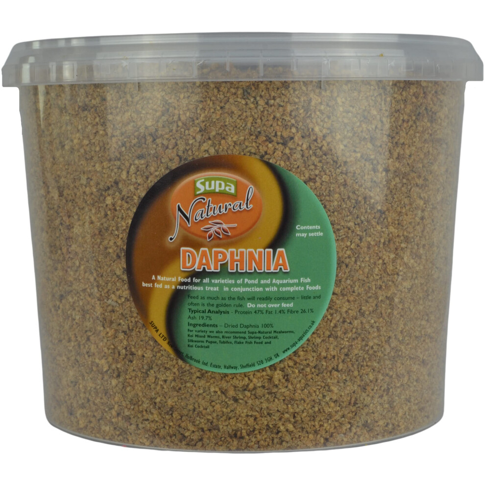 Natural Daphnia Fish Food 3 Litre Bucket | Suitable For Pond & Aquarium Fish | High In Protein