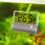 JBL Aquarium Thermometer DigiScan, 27 g 3