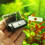 JBL Aquarium Thermometer DigiScan, 27 g 4