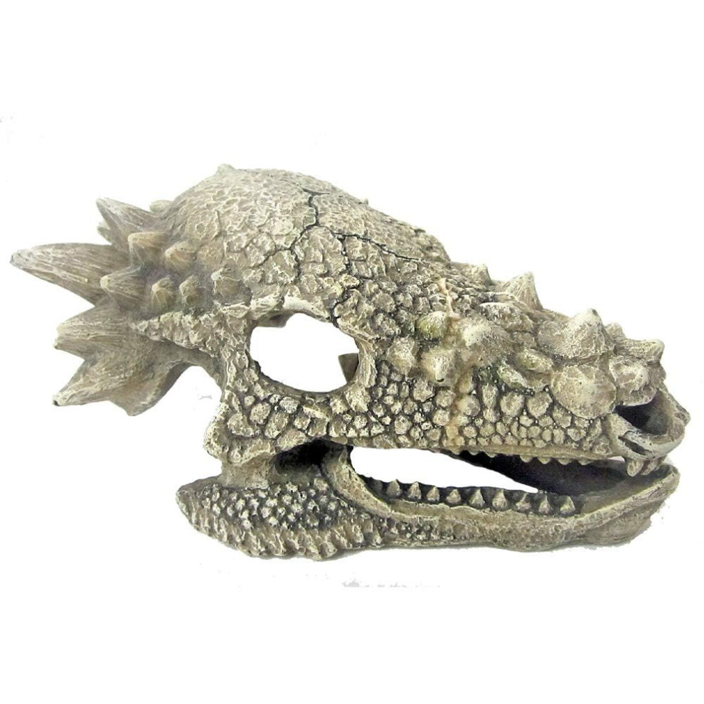 Amtra Wave Dragon Skull B