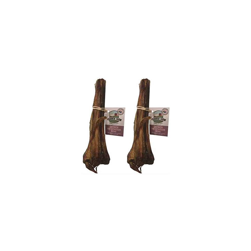 Highland Antler Antos Antler Ostrich Metatarsus Bones Dog Chew Pack Of 2