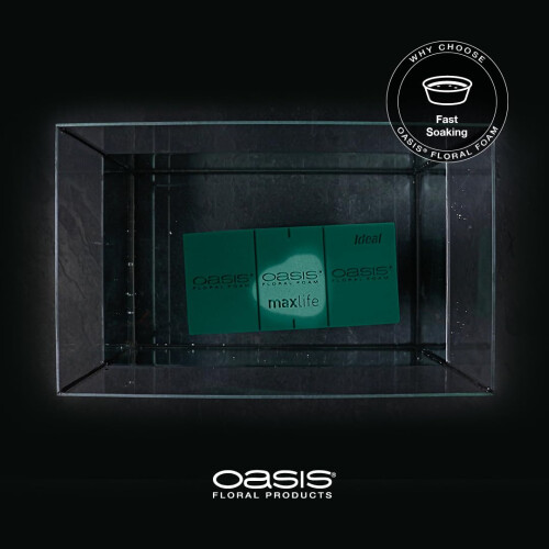 Oasis PANDURO Mousse Oasis - 8 x 11 x 23 cm 2