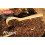 Brown Whole Flaxseed (Linseed) 1250gr || Batch Tested, Raw, Non GMO, Sproutable, Keto Friendly 5