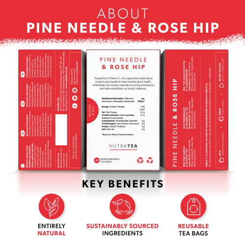 (1 pack) Nutra Tea Pine Needle & Rose Hip Herbal Tea | 20 Biodegradable Bags | 40g 1