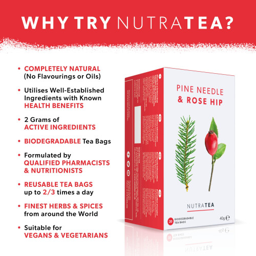 (1 pack) Nutra Tea Pine Needle & Rose Hip Herbal Tea | 20 Biodegradable Bags | 40g 2