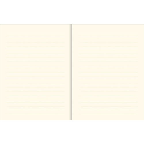 Believe In Yourself Journal (Magnetic Closure) (Notebook, Diary) 2