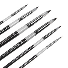 Round Pointed Tip Paint Brushes Set - 6 Pcs Artist Paintbrushes for Acrylic, Oil, Watercolor Painting - Premium Nylon Hair Art Paint Brush for