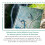 Vincent van Gogh: Sunflowers (Foiled Journal): 12 (Flame Tree Notebooks, 12) 6