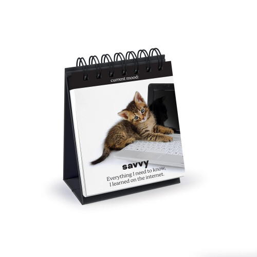 ?gte Fred Daily Cattitude Desktop Flipchart