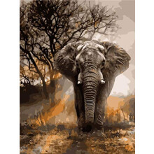 DIY Paint by Numbers Kits, African Grassland Animals Elephant 16x20 inch Acrylic Painting by Number Wall Art Crafts (Elephant, Without Frame)