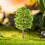Model Trees - Model Railway Scenery Landscape Train Railways 9CM 20pcs (Dark Green) 3