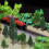 Model Trees - Model Railway Scenery Landscape Train Railways 9CM 20pcs (Dark Green) 4