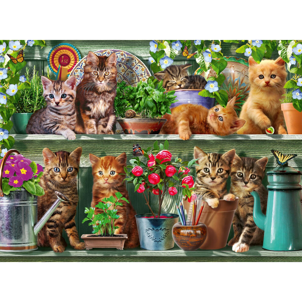 12000205 - Cats on the Shelf - 500 pieces jigsaw puzzle â Puzzle for adults and kids age 12 years up, animal puzzle