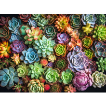 Cross & Glory - Succulent Symphony - 1000 brikker puslespil for voksne | Premium kvalitet | Farverigt kunstv?rk puslespil | Hjernepirrende sjov o