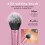 Real Techniques REAL TECHNIQUES,5 Count (Pack of 1) Everyday Essentials Makeup Brush Complete Face Set (Miracle Complexion Sponge, Expert Face, Blush, Setting and 5