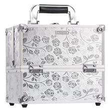 Professional Beauty Vanity Case Cosmetic Makeup Box Nail Polish Storage Beauty Train Case Lockable with Keys(Silver Rose)