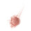 Bourjois Bourjois Little Round Pot Blusher 85 Sienne, 2.5g 4