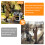 Bingopaw Large Dog Stroller 4 Wheels Folding Pet Stroller Jogging Carriage 5