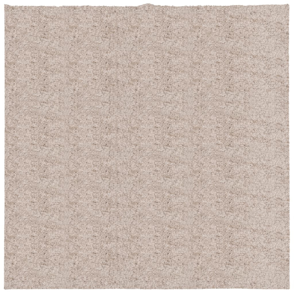 (beige, 160 x 160 cm) vidaXL Shaggy Rug Floor Mat Fluffy Rug Area Rug PAMPLONA High Pile Modern